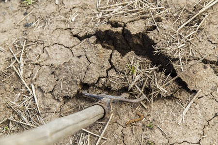 Forks in the ground, digging in the gardenの写真素材