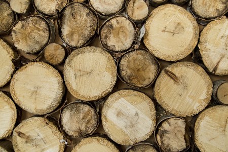 end of old logs, decor of wall, backgroundの写真素材