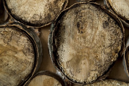 end of old logs, decor of wall, backgroundの写真素材