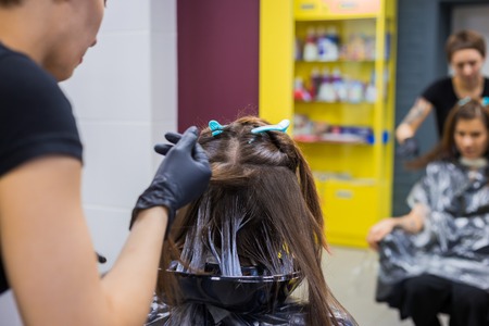 Professional hairdresser, stylist doing hairstyle of female client at salon, studio. Beauty and...