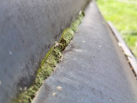 A abandoned rusty moss car macro