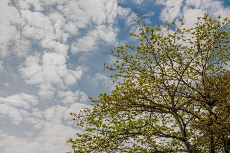 Blue sky with clouds backgroundの写真素材