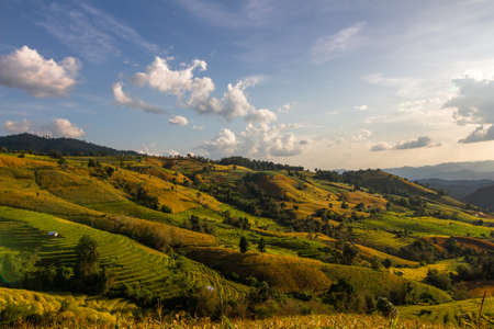 Green rice terrace on the mountain , Paddyの写真素材
