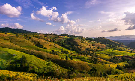 Green rice terrace on the mountain , Paddyの写真素材