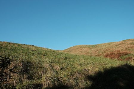 Autumn pasture landscapeの写真素材