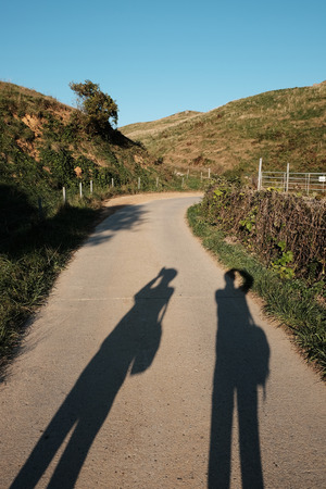 Autumn pasture landscapeの写真素材