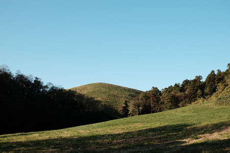 Autumn pasture landscapeの写真素材