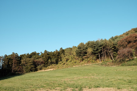 Autumn pasture landscapeの写真素材