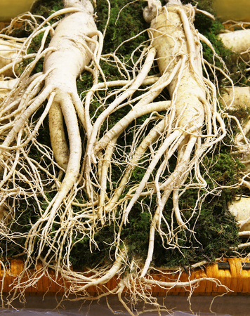 Geumsan ginseng (Korean ginseng)の写真素材