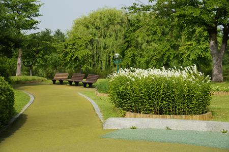 Trail (trail, walk)の写真素材