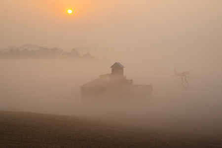 Misty and serene dawn landscapeの写真素材