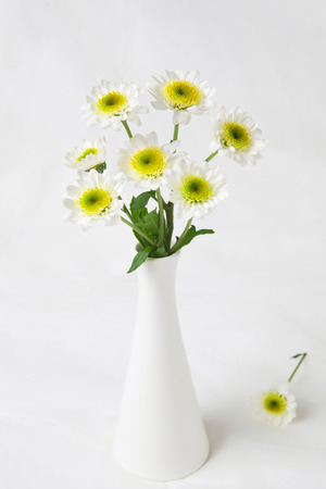A beautiful vase (flower and camomile, wild chrysanthemum)の写真素材