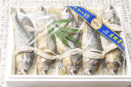 dried yellow corvina, croaker, barley yellow tail runnerの写真素材
