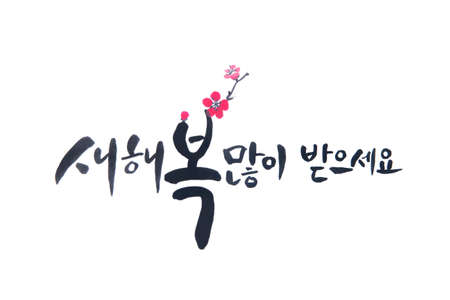 Card,celebration card,handwriting,calligraphy,advertisement,new year's day,font,greeting,artistic,writing,happy new year,paper,design,art,pattern,horizontal,korean,inkstone,India ink, black writing fluid ,writing brush ,Black,white,white background,handwriting, Yongin, Gyeonggi-do, Korea,の写真素材