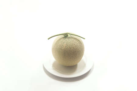 melon,fruit