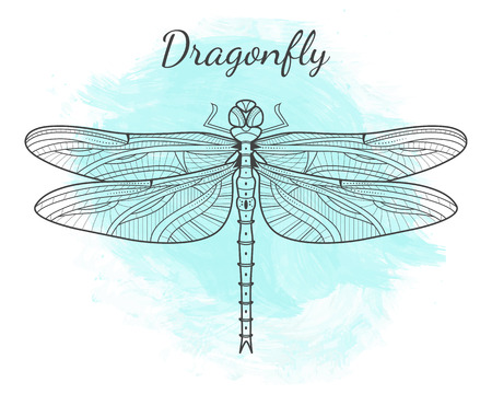 Monochrome outline of dragonfly on blue. Isolated insect. Nature wallpaper. Stylish line dragonfly. For card, invitation, print, t-shirt, poster, label, shop. bug illustrationのイラスト素材
