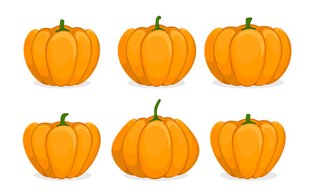 Cartoon pumpkin set. Different shapes and sizes orange gourd isolated on white background. Vegetable icons. Element for autumn Halloween party invitation decoration. Vector flat illustration.のイラスト素材
