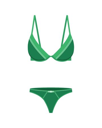 Attractive sexy woman underwear clothing isolated on white. Romantic and sensual wear. Bra and panties. Modern lingerie flat fashion design vector illustration. Brassiere clothes for women breastのイラスト素材
