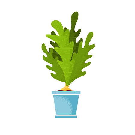 Beautiful potted home indoor bulb plant. Vector illustration isolated on white background. Trendy house decor, garden.のイラスト素材