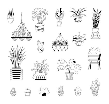 Vector illustation pot plants set, line art potted flowers. Hand drawn black line natural design elements isolated on white background. Trendy houseplants decor icons Palm tree monstera aloe succulentのイラスト素材