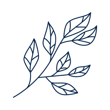 Line art hand drawn branches with leaves on white background. Botanical design elements. Monochrome floral vector illustration.のイラスト素材