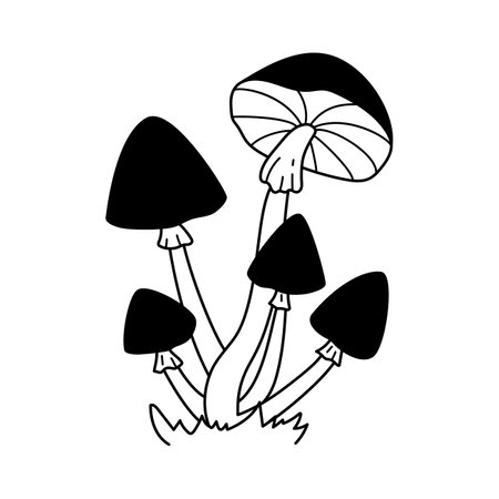 Vector black and white wild forest mushrooms on grass. Autumn botanical design element. Edible or poisonous mushrooms. hand drawn illustration on white backgroundのイラスト素材