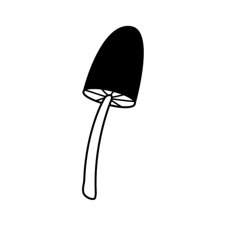 Doodle honey mushroom icon. Hand drawn sketch linear vector illustration. Black fungus, line art forest plant isolated on white background.のイラスト素材