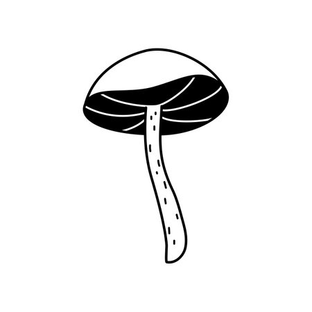 Doodle long stem mushroom icon. Hand drawn sketch linear vector illustration. Black fungus, line art forest plant isolated on white background.のイラスト素材