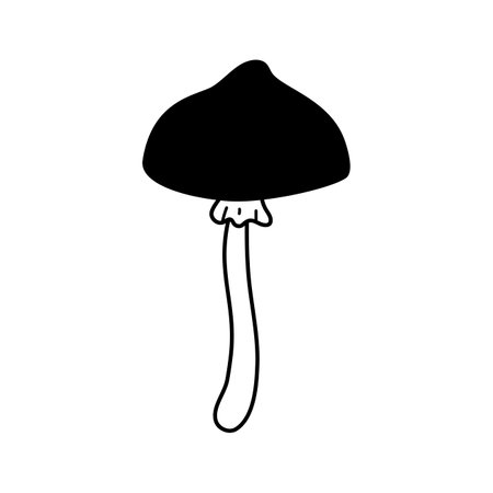 Doodle long stem mushroom icon. Hand drawn sketch linear vector illustration. Black fungus, line art forest plant isolated on white background.のイラスト素材