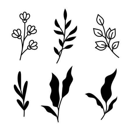 Vector illustrations of branches and leaves set. Hand drawn black floral elements for wedding, greeting cards. Vintage botanical design elements.のイラスト素材