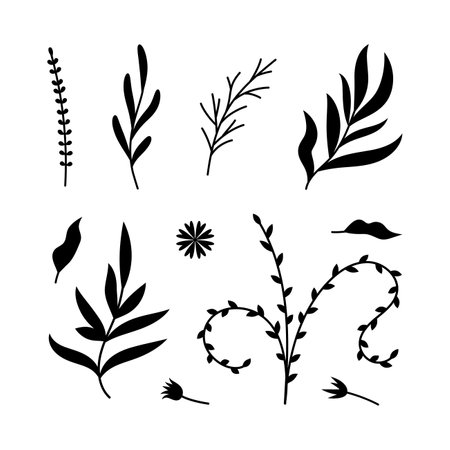 Vector illustrations of branches and leaves set. Hand drawn black floral elements for wedding, greeting cards. Vintage botanical design elements.のイラスト素材