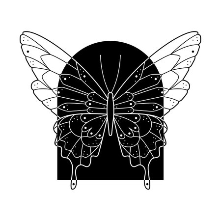 Stylized black and white butterfly in arch shape frame. Hand drawn line art ornated vector illustration. Natural design for tattoo or makhenda, book cover, t-shirt print, poster or card.のイラスト素材