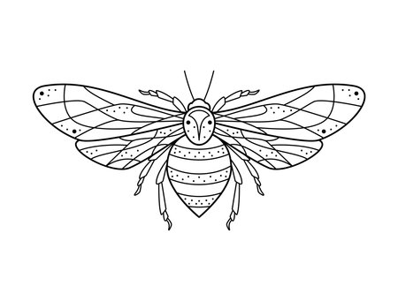 Stylized black and white bee. Hand drawn line art ornated vector illustration. Natural design for tattoo or makhenda, book cover, t-shirt print, poster or card.のイラスト素材