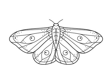 Stylized black and white night moth. Hand drawn line art ornated vector illustration. Natural design for tattoo or makhenda, book cover, t-shirt print, poster or card.のイラスト素材