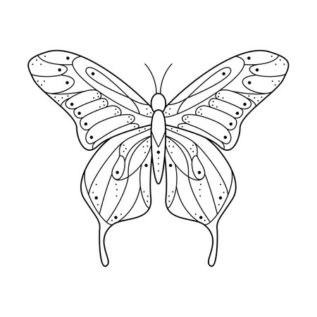 Stylized black line art butterfly. Hand drawn linear ornated vector illustration. Ornament natural insect design for tattoo or makhenda, book cover, t-shirt print, poster or card.のイラスト素材