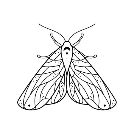 Stylized black and white moon night moth. Hand drawn line art ornated vector illustration. Natural design for tattoo or makhenda, book cover, t-shirt print, poster or card.のイラスト素材