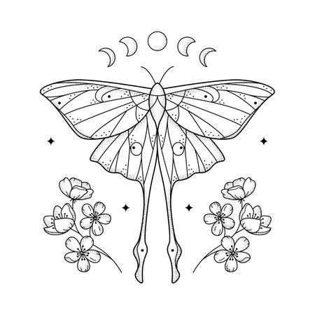 Celestial line art grainy geometric luna moth, moon phases and flowers. Abstract mystic geometry butterfly with floral arrangement. vector illustration. Design for tattoo, book cover, t-shirt printのイラスト素材