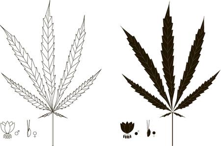 CBD E-JUICE