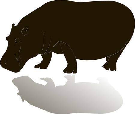 Black silhouette of a Hippo with shadow on white, vector illustrationのイラスト素材