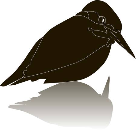 Black silhouette of a river kingfisher bird with shadow on white, vector illustrationのイラスト素材