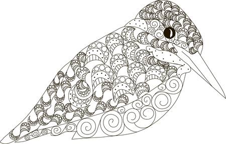 Hand drawnking fisher bird, black and white anti stress vector illustrationのイラスト素材