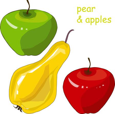 Hand drawn painting red and green apples, yellow pear on white, stock vector illustrationのイラスト素材