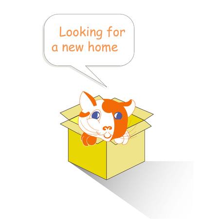 Typography banner Looking for a new home, red and white cartoons cat in the yellow box on white, stock vector illustrationのイラスト素材