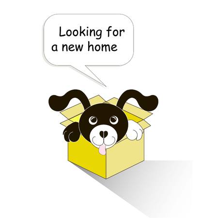 Typography banner Looking for a new home, black and white cartoons dog in the yellow box on white, stock vector illustrationのイラスト素材