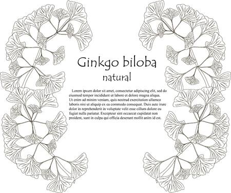 Black and white sketch of background with branch and leafs, typing natural Ginkgo biloba, Lorem ipsum, stock vector illustrationのイラスト素材
