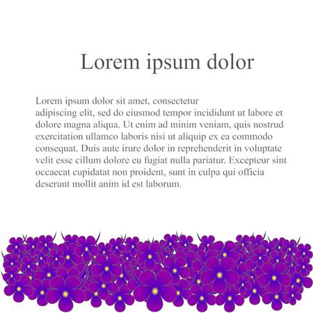 Floral background with purple violet flowers below on white, lorem ipsum, stock vector illustrationのイラスト素材