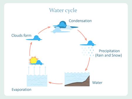 Water cycle scheme for kids education stock vector illustrationのイラスト素材