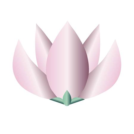 Pink lotus or water lily flower on white stock vector illustrationのイラスト素材