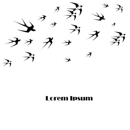 Monochrome background flying swallow Lorem ipsum stock vector illustration design elementのイラスト素材