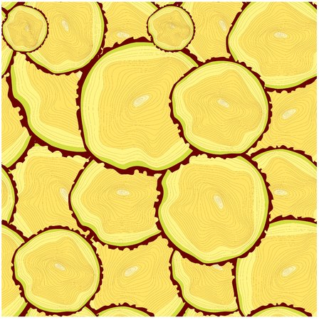 Seamless yellow, brown, green background tree trunk sections background stock vector illustrationのイラスト素材